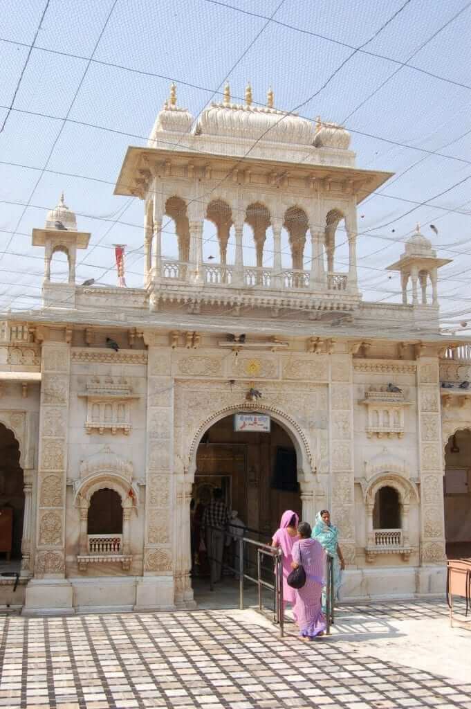 Karni Mata, Templo de las ratas, Rajastán, India