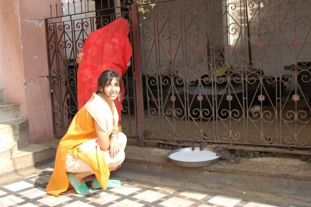 Karni Mata, Templo de las ratas, Rajastán, India