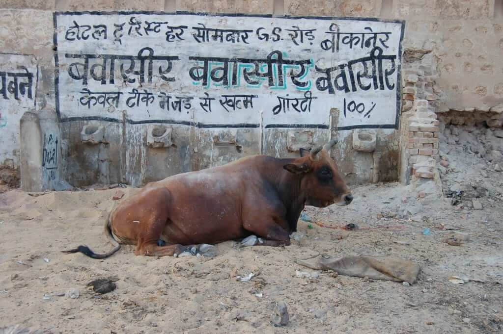 Cosas que no te gustarán en India - La suciedad