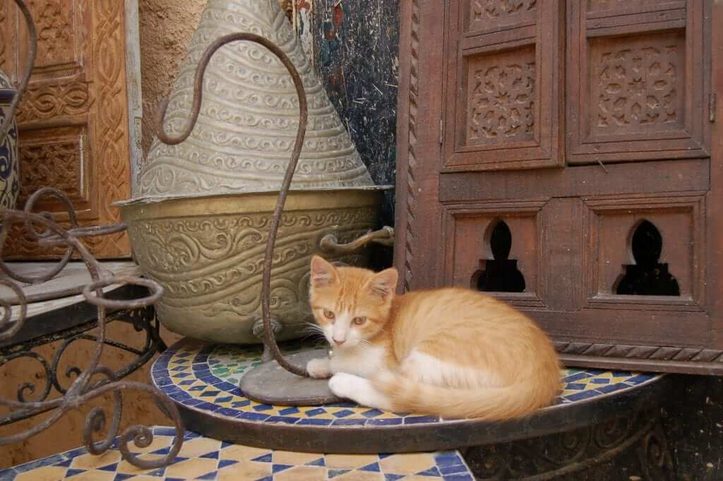 Zocos de Marruecos