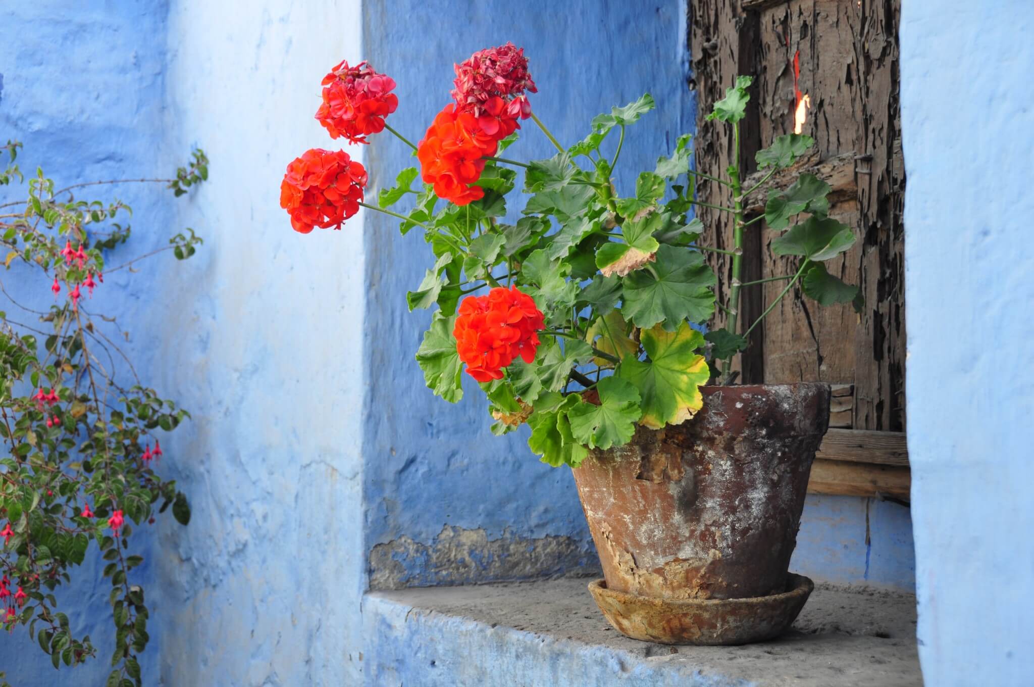 Monasterio de Santa Catalina Arequipa