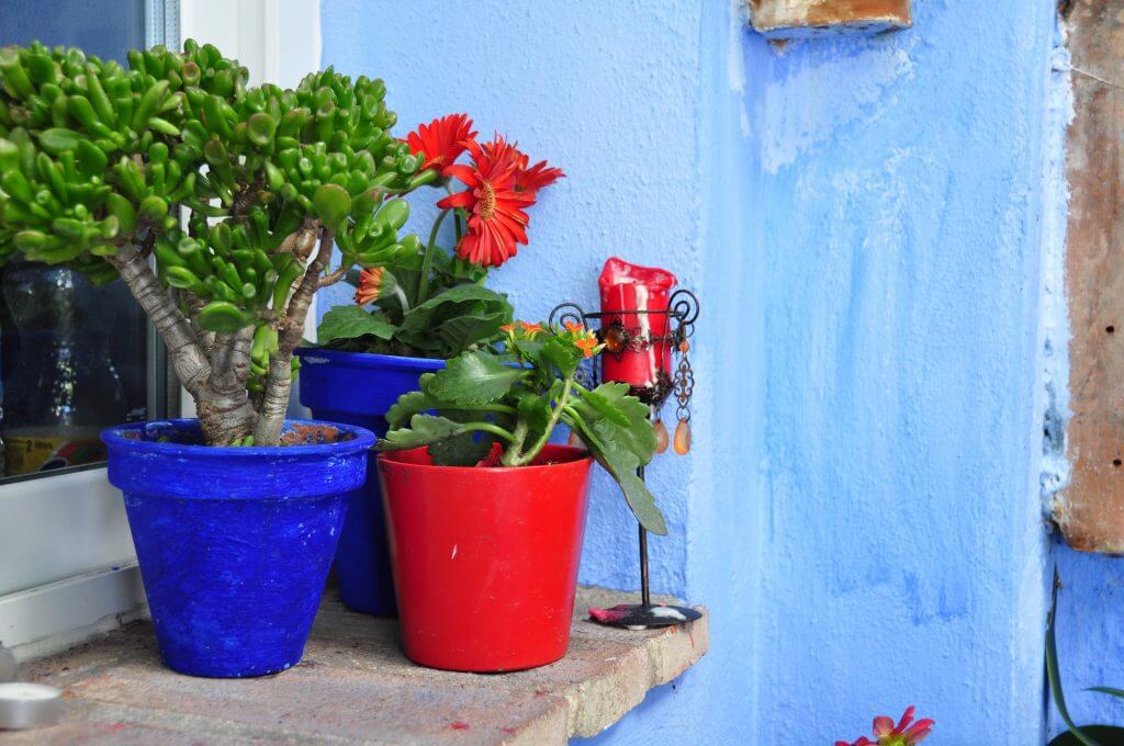 Córdoba fiesta de los patios