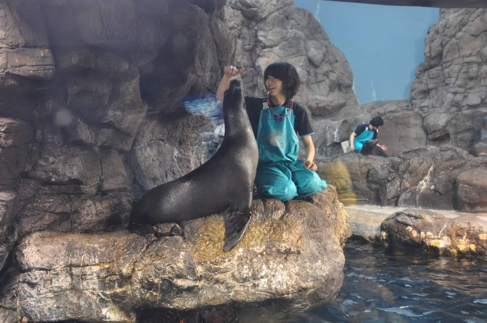 Osaka Acuario