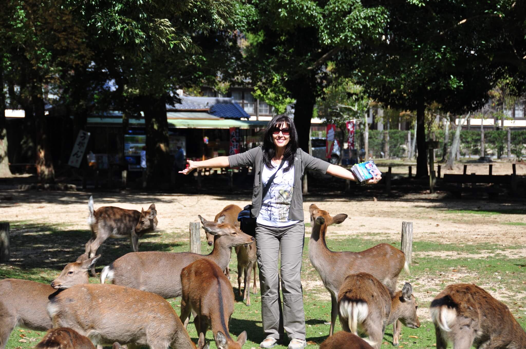 Nara Parque Nara koen