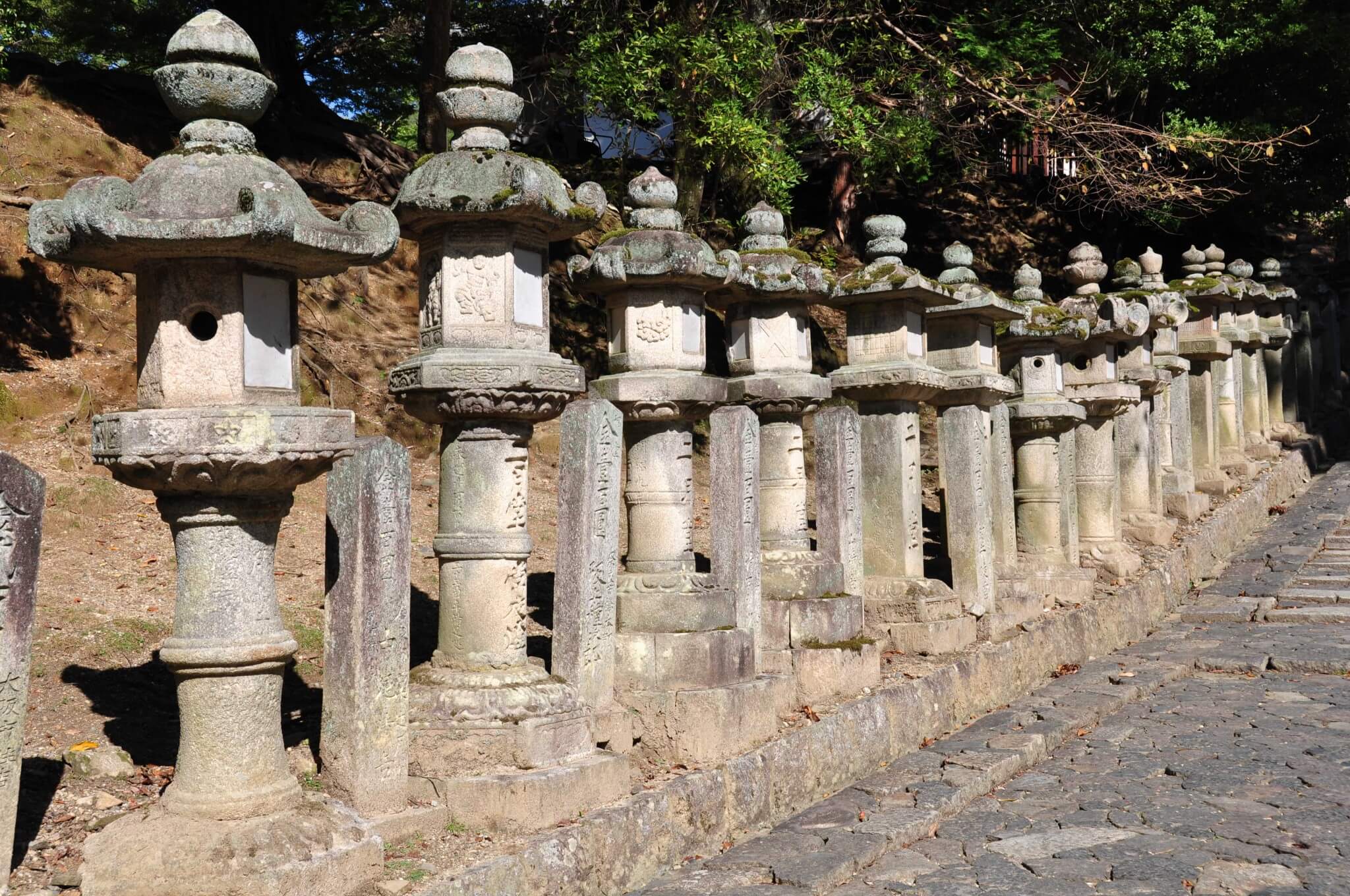 DSC_0635 Nara, Japón