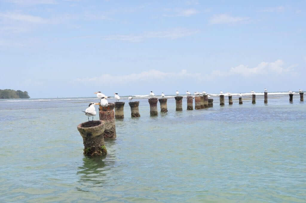 Fotos de Panama