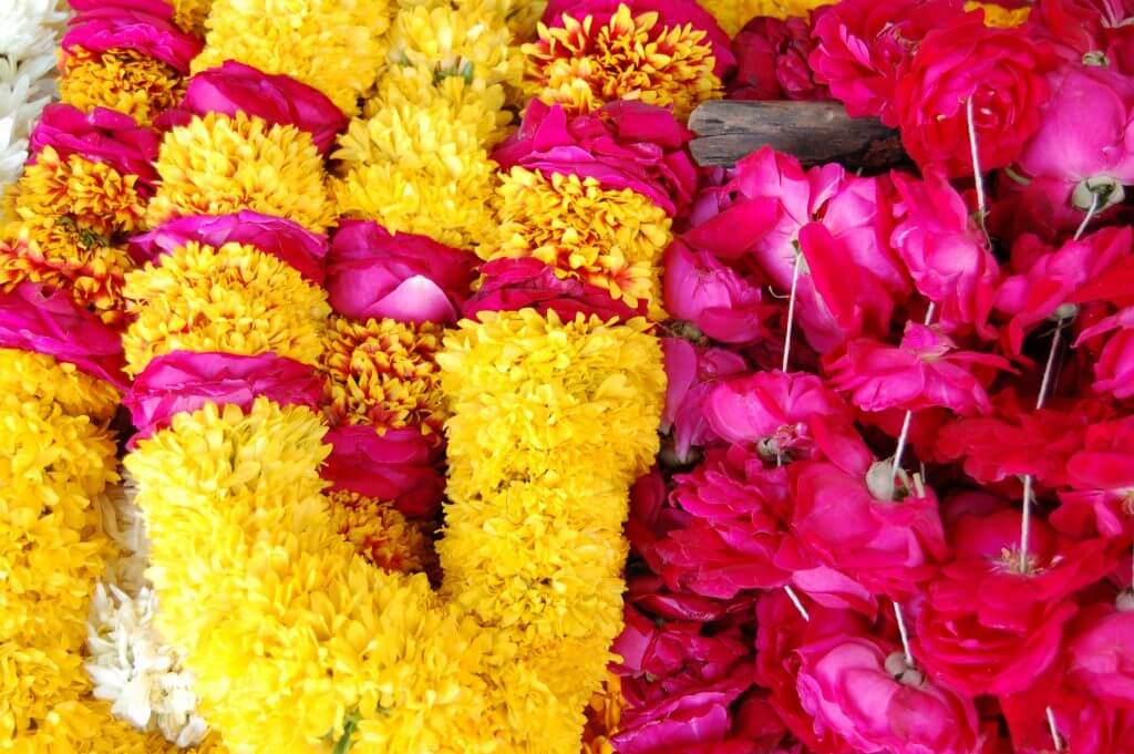 Que ver en Jaipur, la ciudad rosa