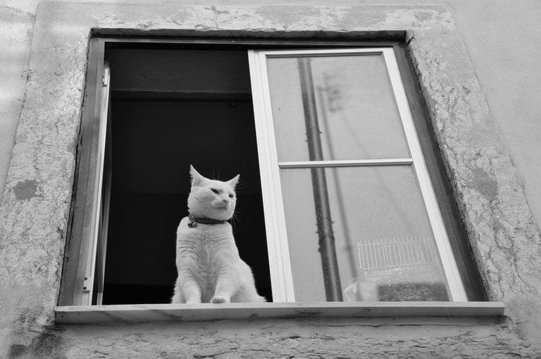 Fotos en blanco y negro Lisboa