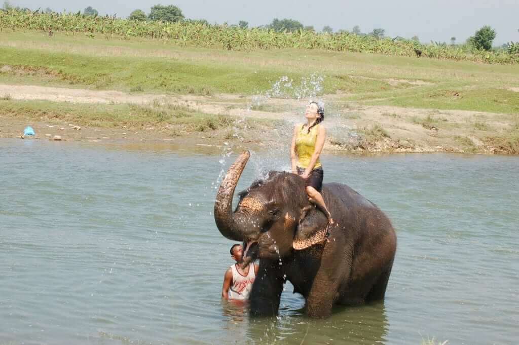 Bañar un elefante