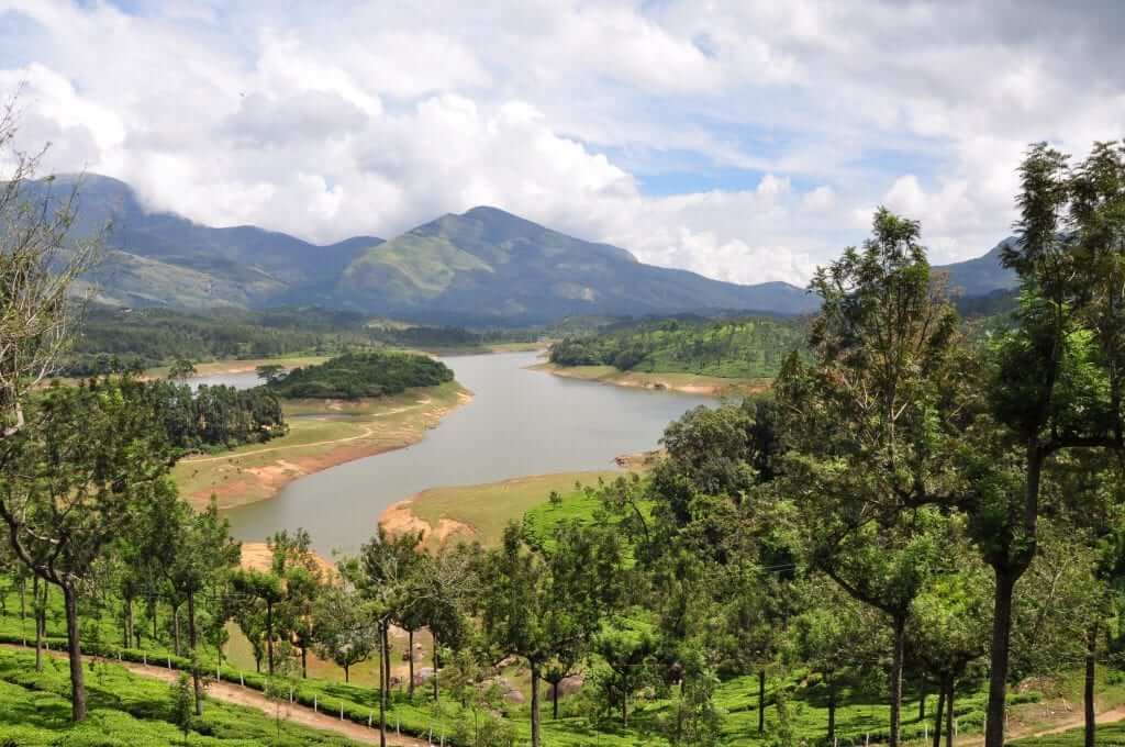 Munnar, Kerala