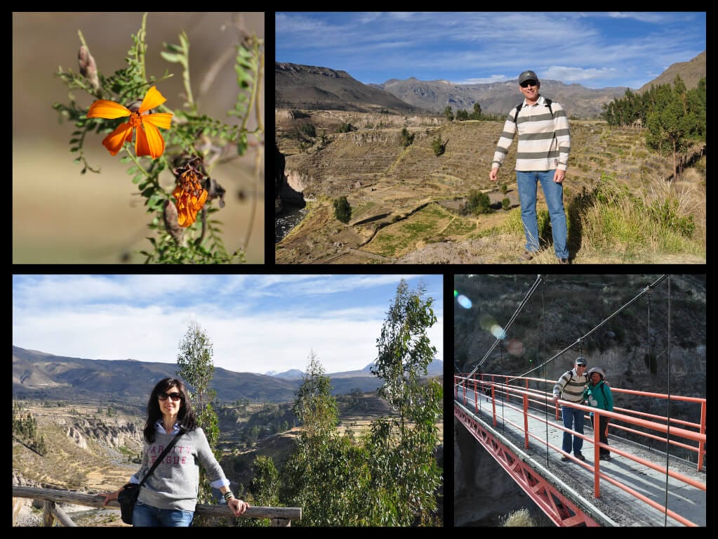 Cañon del Colca