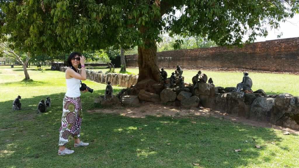 Monos en Anuradhapura Anuradhapura