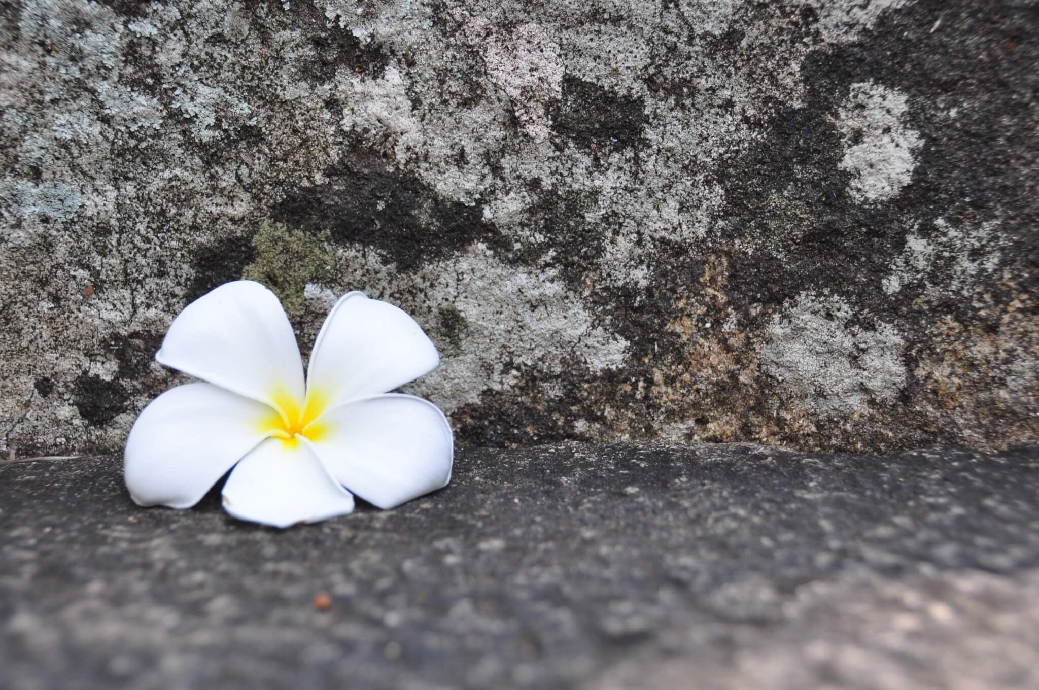 MIhintale Diario de viaje Sri Lanka