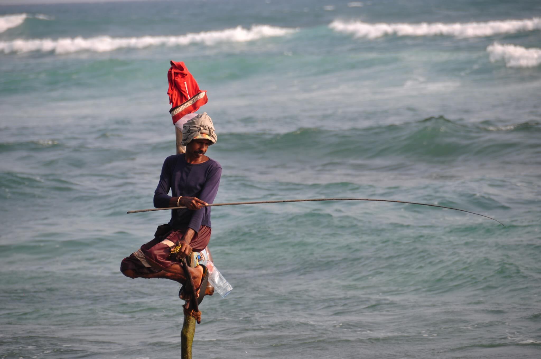 Pescadores zancudos de Sri Lanka