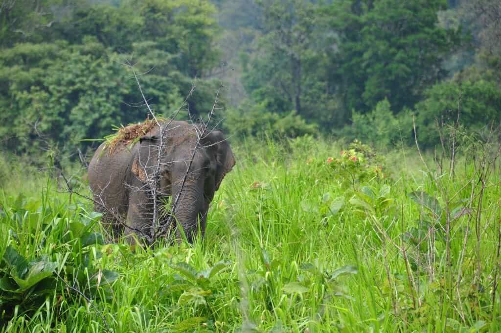 Sigiriya