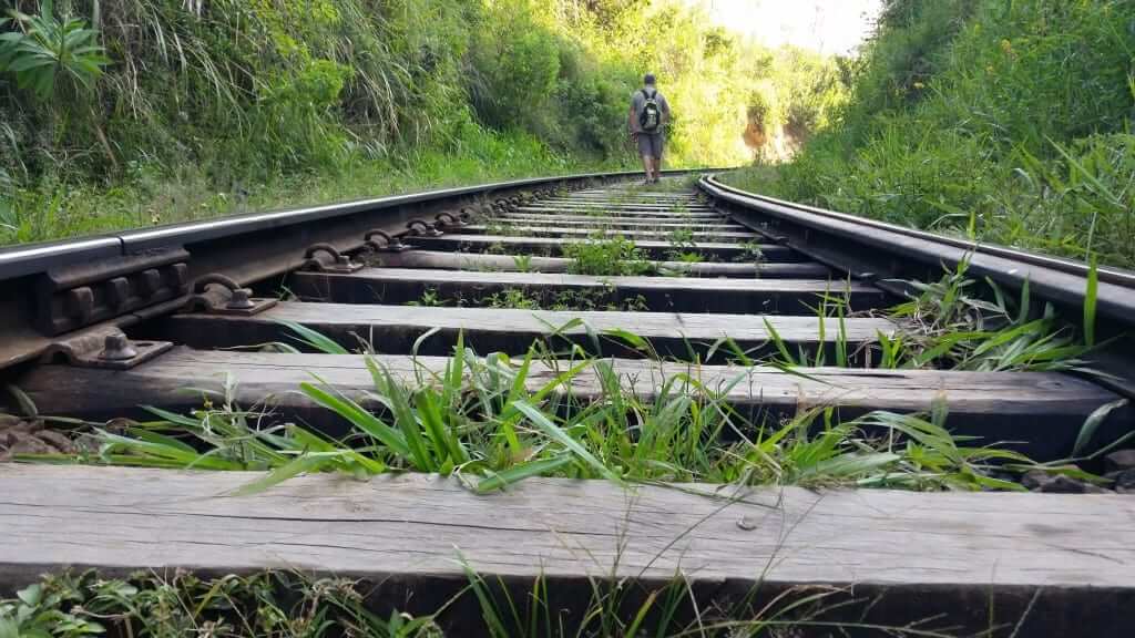 que ver en Sri Lanka