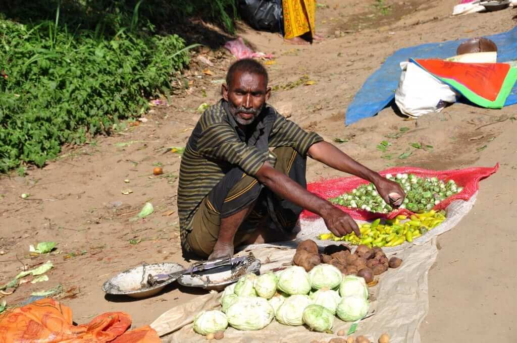 Viaje en tren Sri Lanka