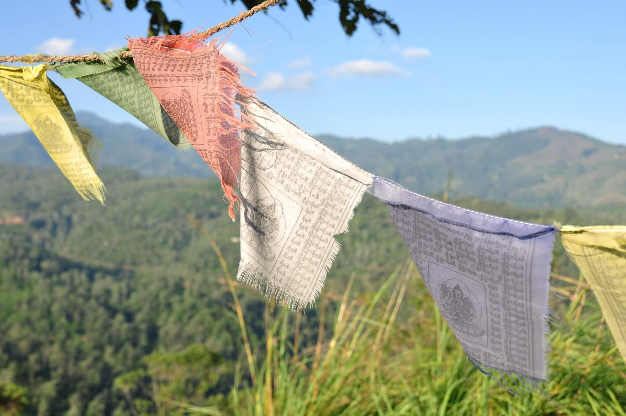 Viaje en tren Sri Lanka