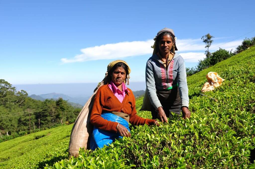 que ver en Sri Lanka