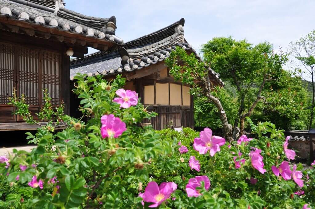 que ver en Corea del Sur