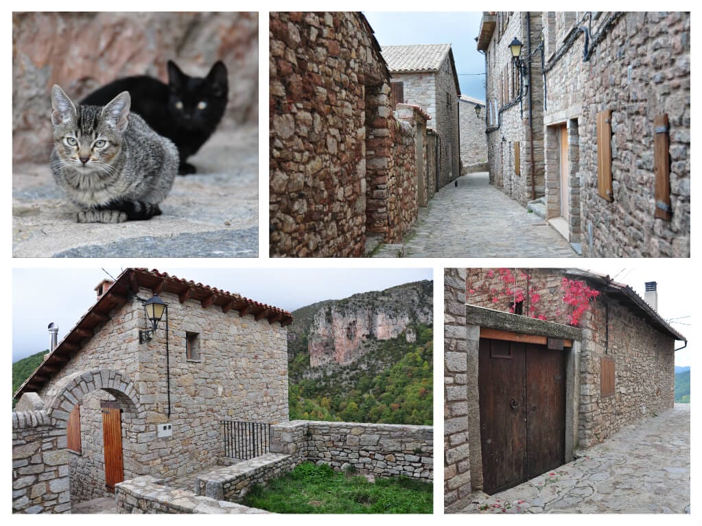 pizap-com14798493512261