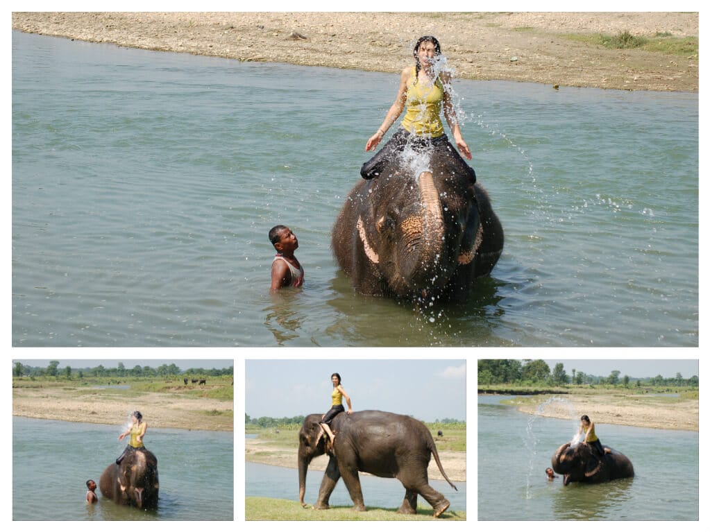 Chitwan