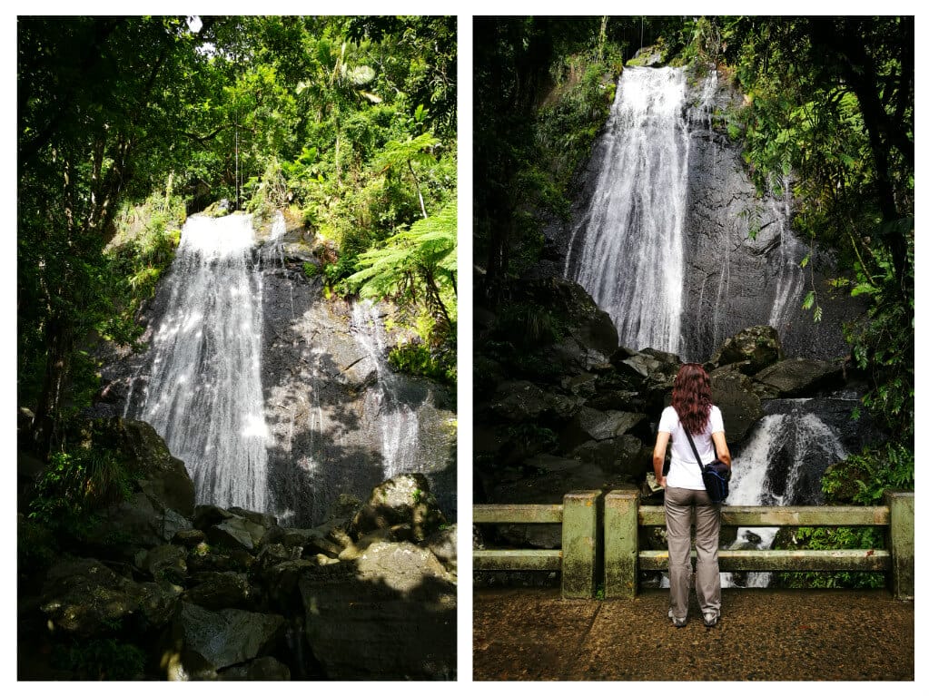 El Yunque