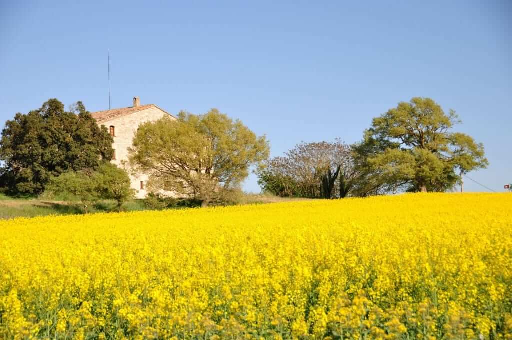 Anoia Barcelona