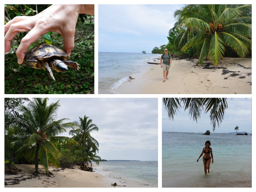 Bocas del Toro
