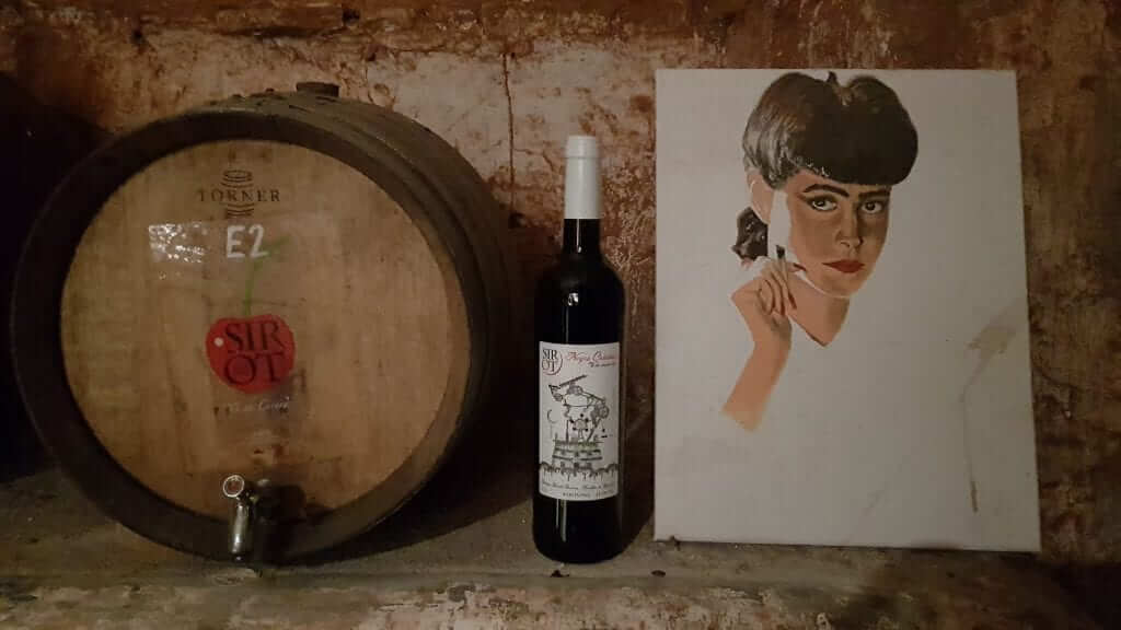 Qué hacer en la provincia de barcelona