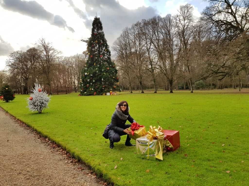 Castillos del Loira en Navidad Cheverny