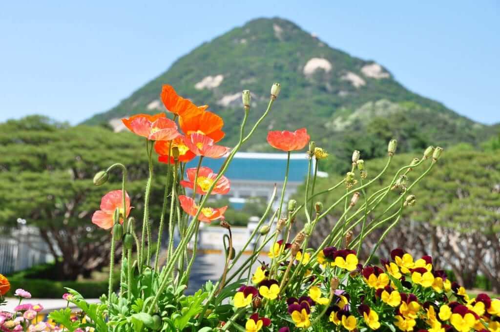 que ver en seúl casa azul