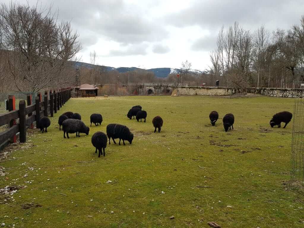fin de semana en Rascafría