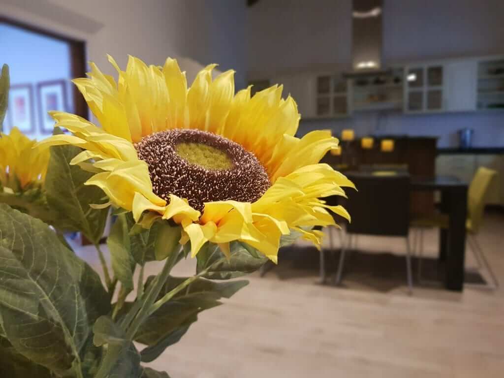 Viajar a Antigua Guatemala Hotel Casa Girasol