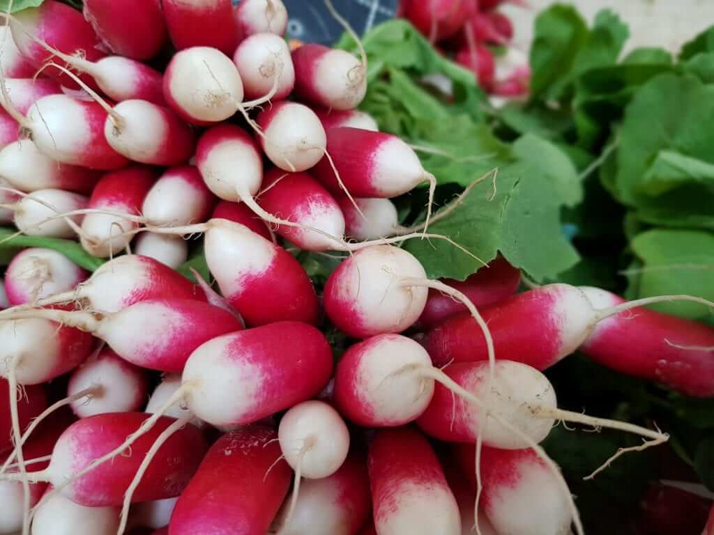 Toulouse, mercado Carmes