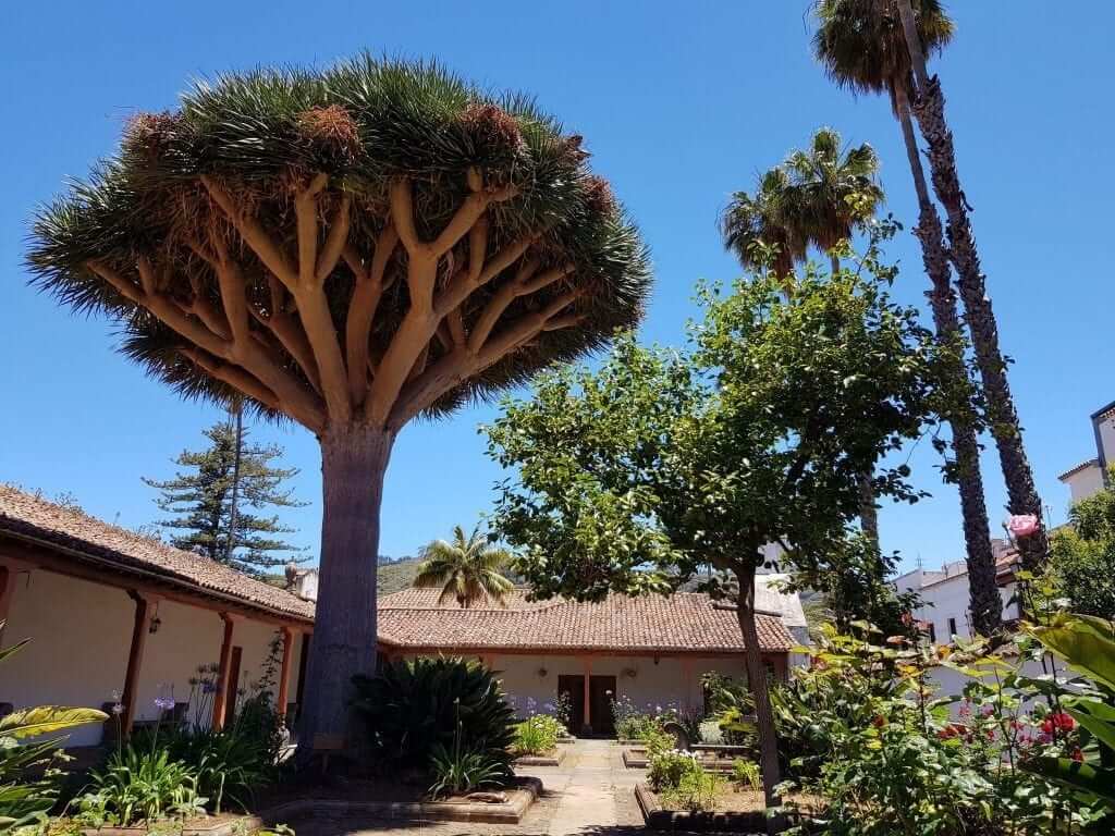 que ver en gran canaria Teror