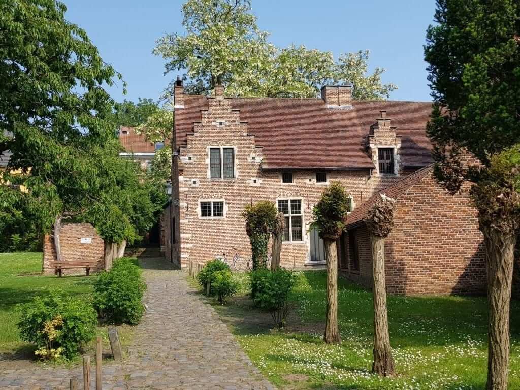 beaterios flamencos Lovaina