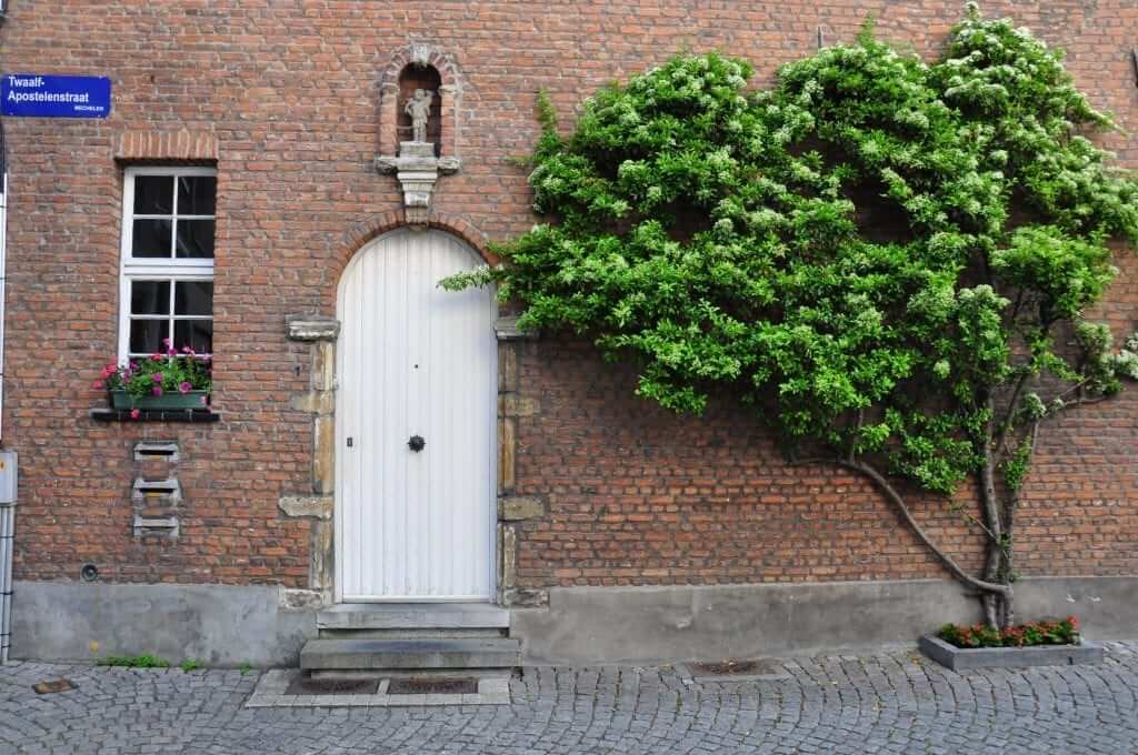 beaterios de Flandes, Beguinaje, Beaterio de Malinas