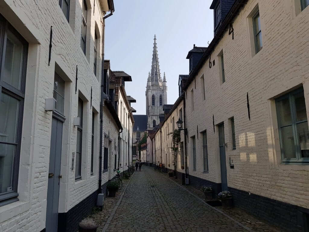 Beaterios de Flandes, Lovaina