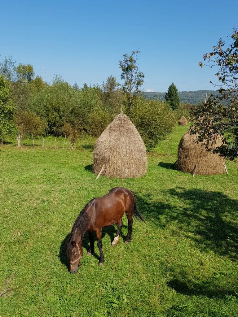 Maramures, Rumanía