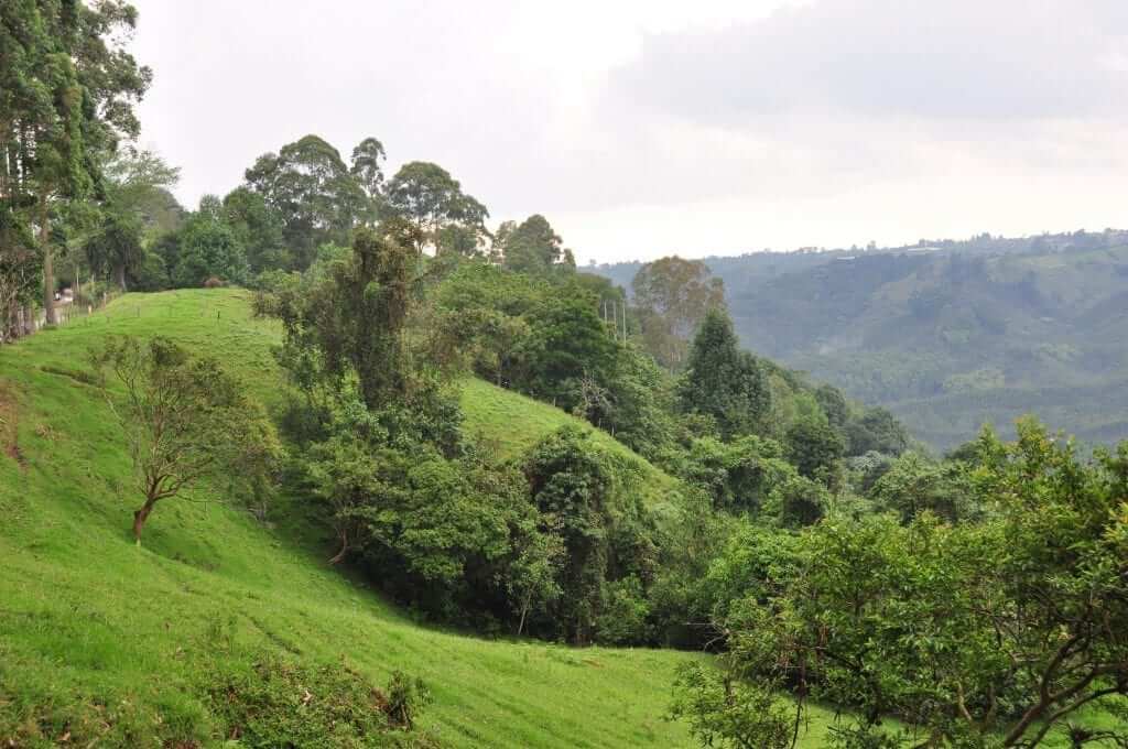 que hacer en Salento, Colombia