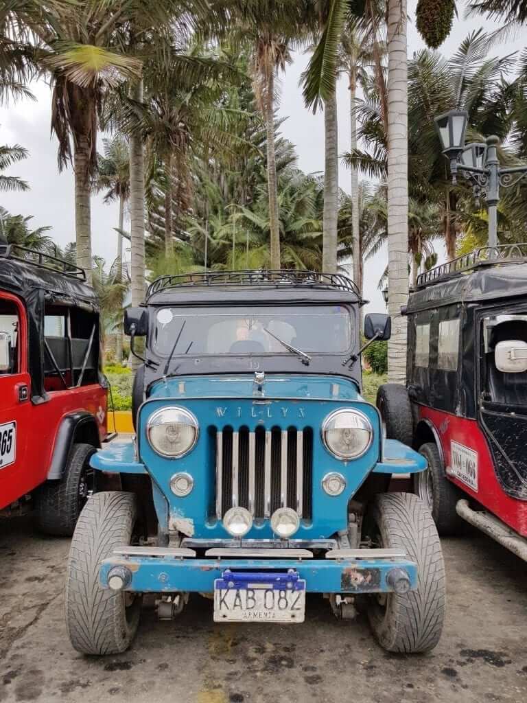 valle de Cocora, Colombia