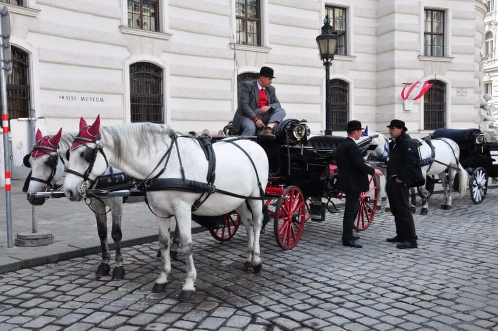 Coches de caballos Viena