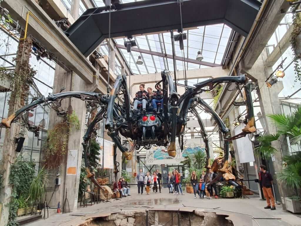 Elefantes nantes