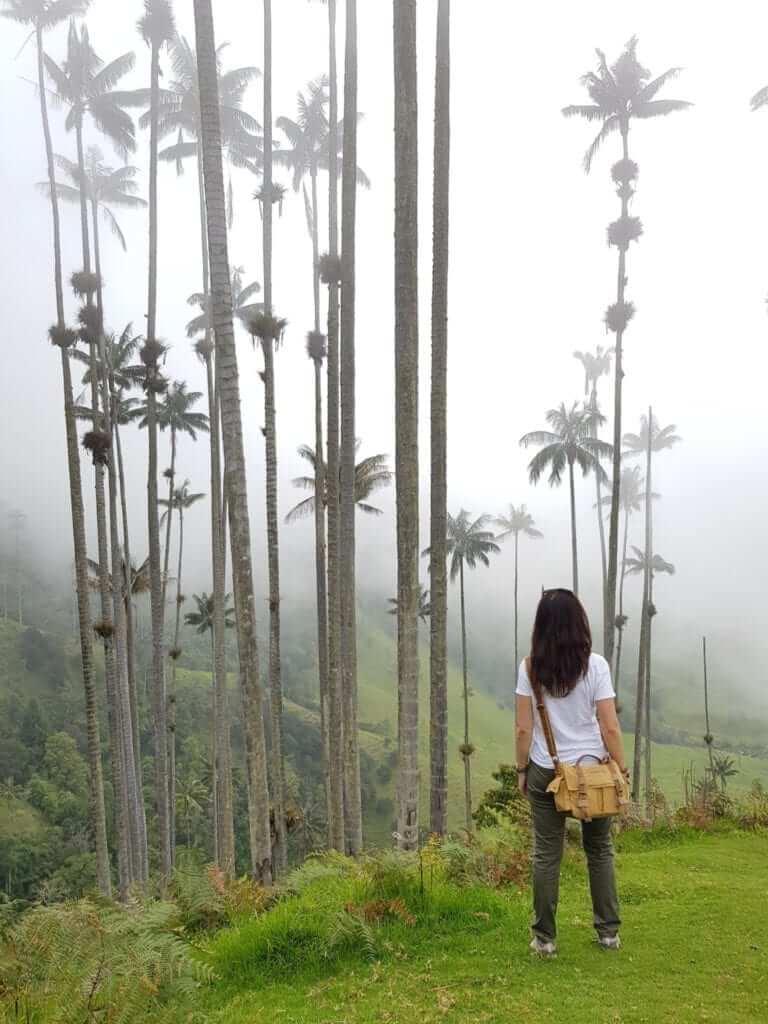 Valle del Cocora