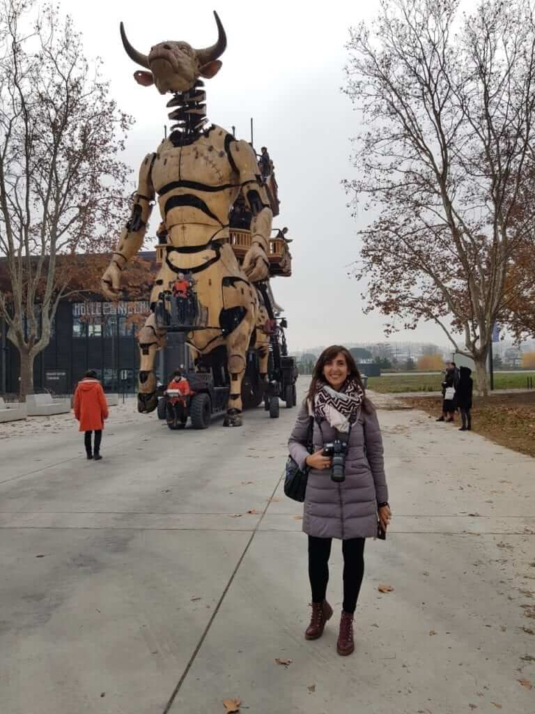 Minotauro de Toulouse Occitania
