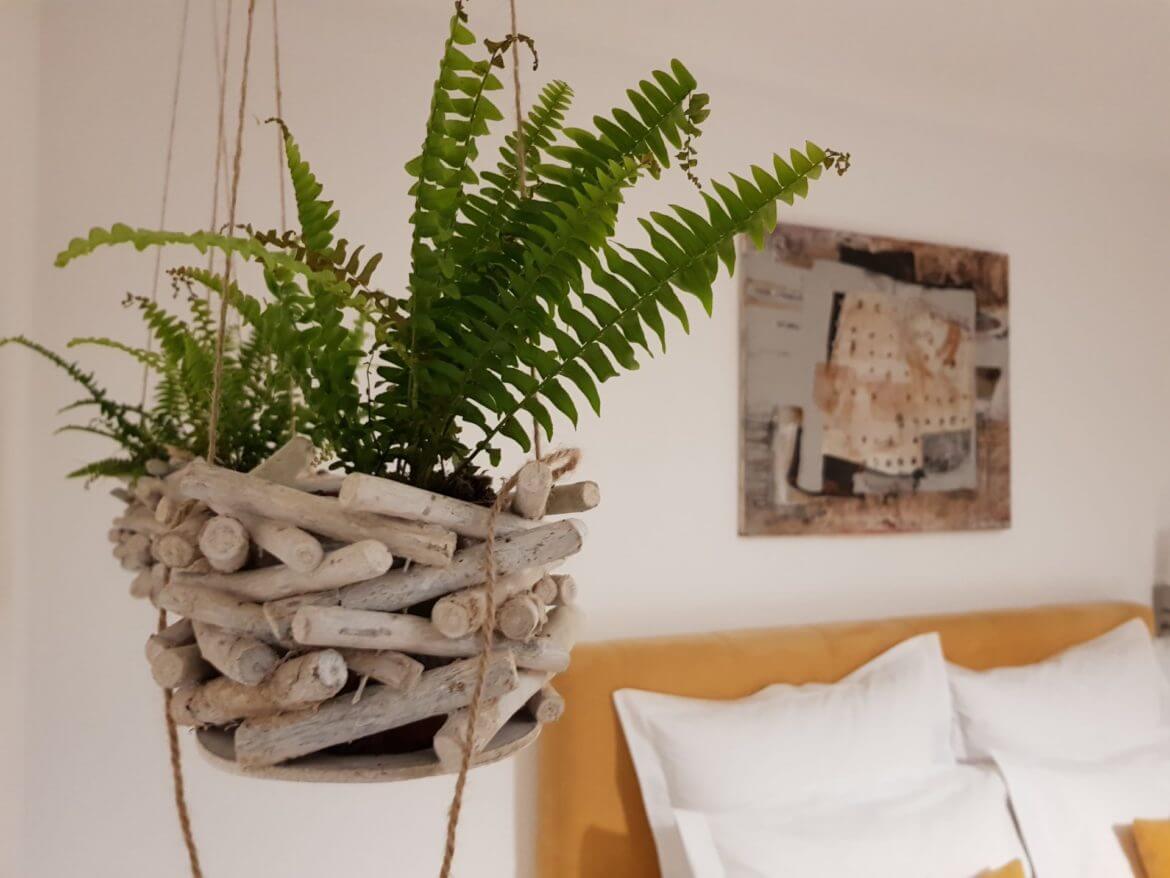 dormir en Brasov (7) dormir en Brasov