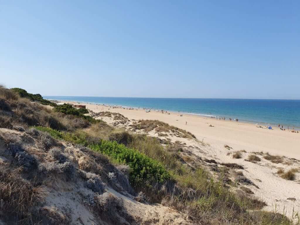 Playa de la Barrosa