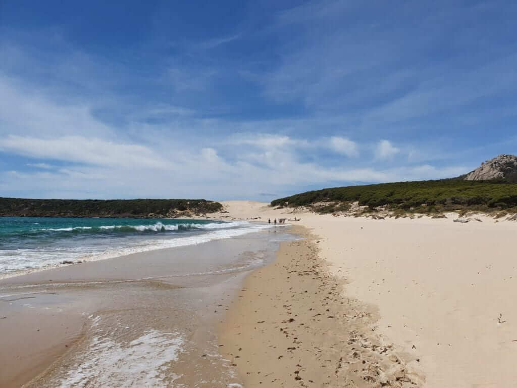 playa de bolonia
