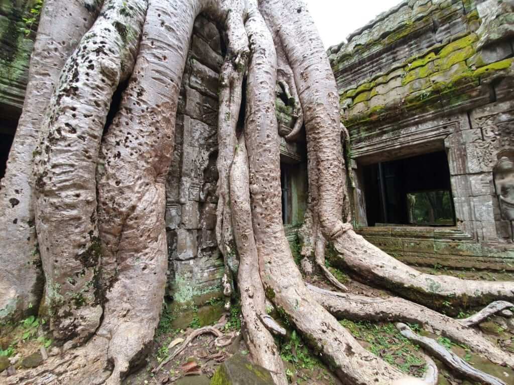 qué hacer en Siem Reap